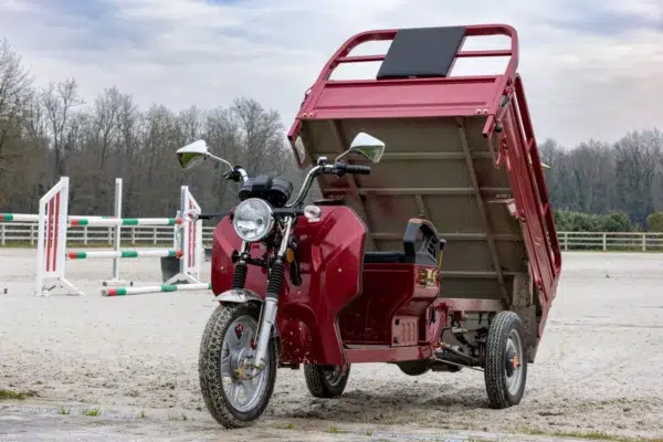 Triporteur électrique 500