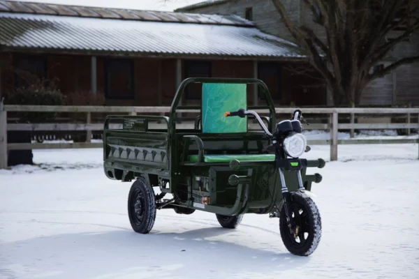 Triporteur électrique 500